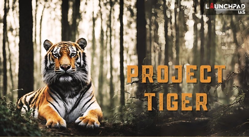 Project Tiger