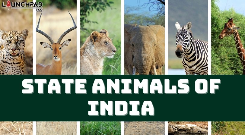 State Animals of India