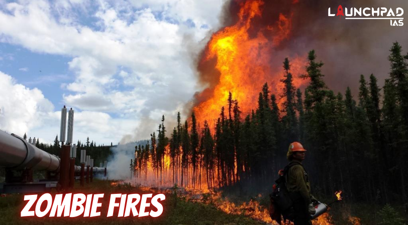 Zombie Fire