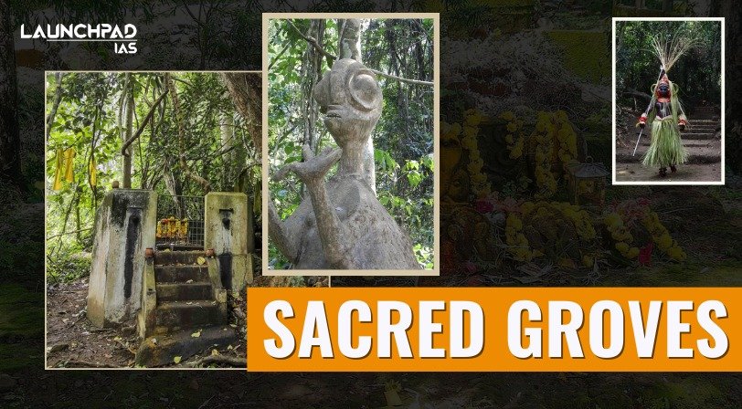 Sacred Groves